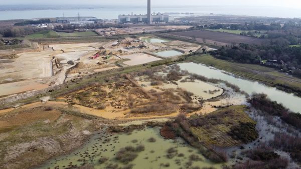 Badminston Common  New Forest