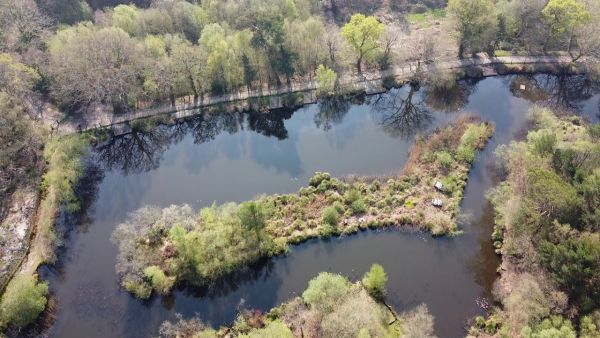 Mopley Pond  New Forest Mavic